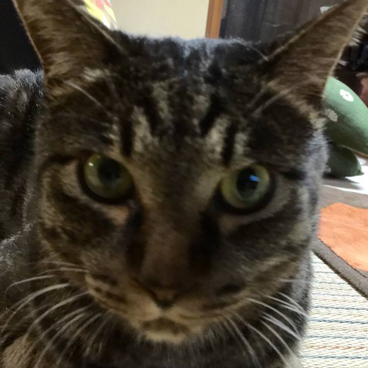 914442e9 85bc 417c b3fc 0afb6bc1c879