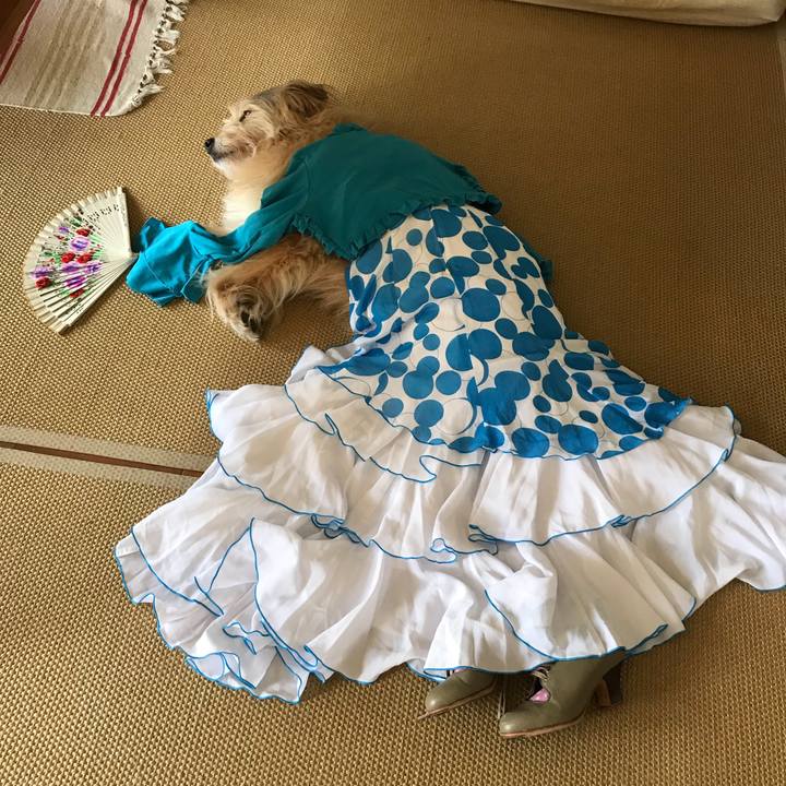 91449c8b 0a56 4dbd 89a5 f45b029cf969