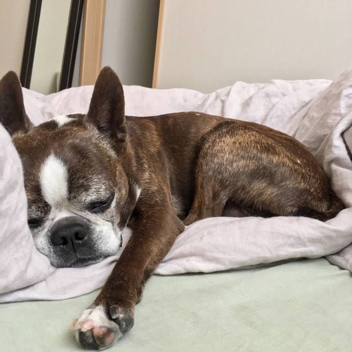 9144aa19 9579 46c3 b439 3c593727a2f1