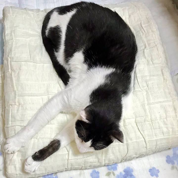 914585b2 33b3 49e0 95d1 3b5a084fef5b