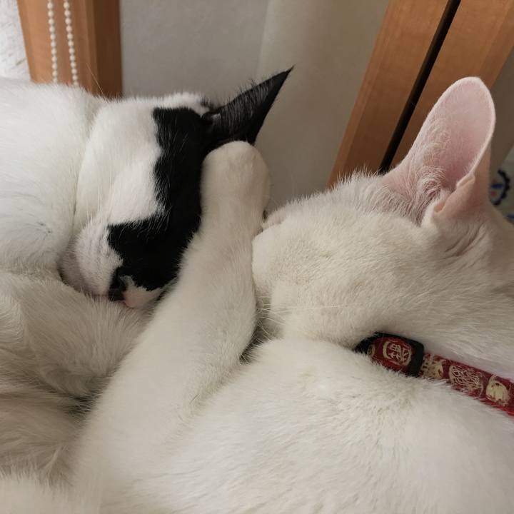 914595eb 7ea8 4a53 a7f4 b140fc08b160