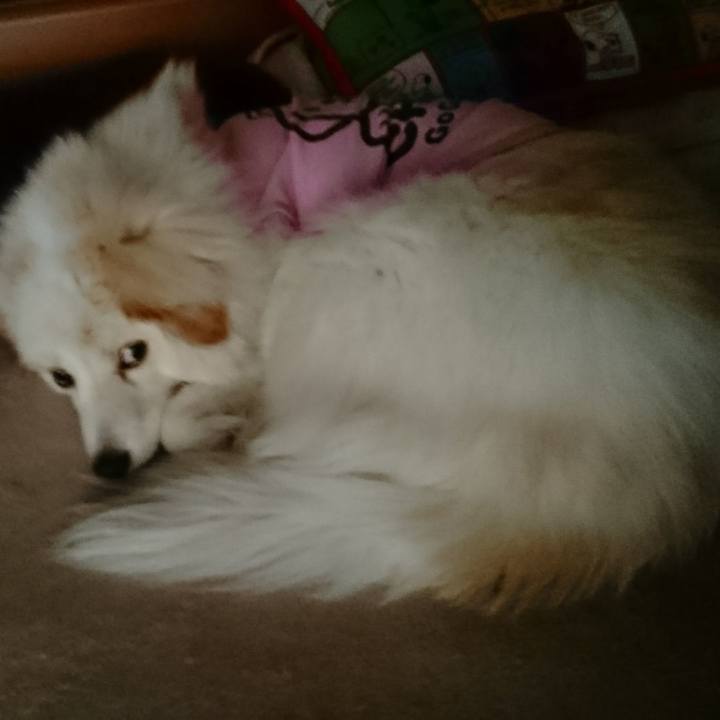 9145d28f e86c 4c0d 93a6 303a332c9c8e