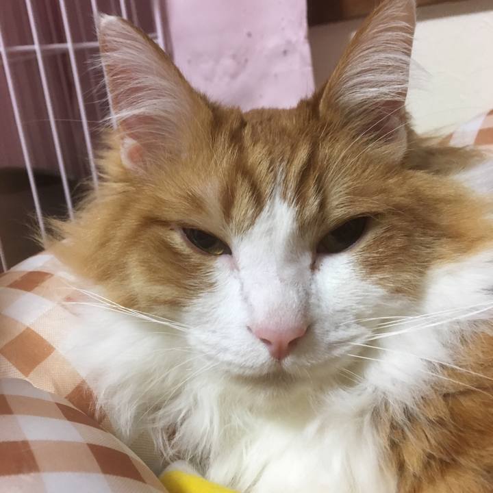 91460ca8 d295 43cd b673 6a13b778c7c8