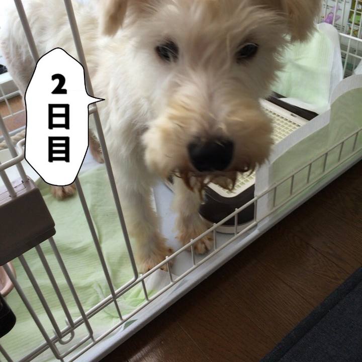 91464e20 575b 4579 b33d bed729e373d8