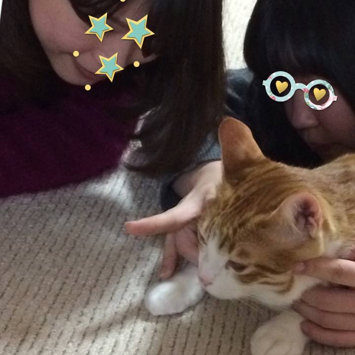 914693c3 98e8 4232 ad42 289b3aff2f19