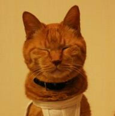 914739cc 765c 4ac9 925a d535e2683b60