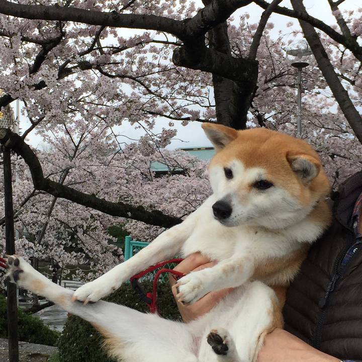 91474764 ca8e 4de9 af7d 5e960df307c2