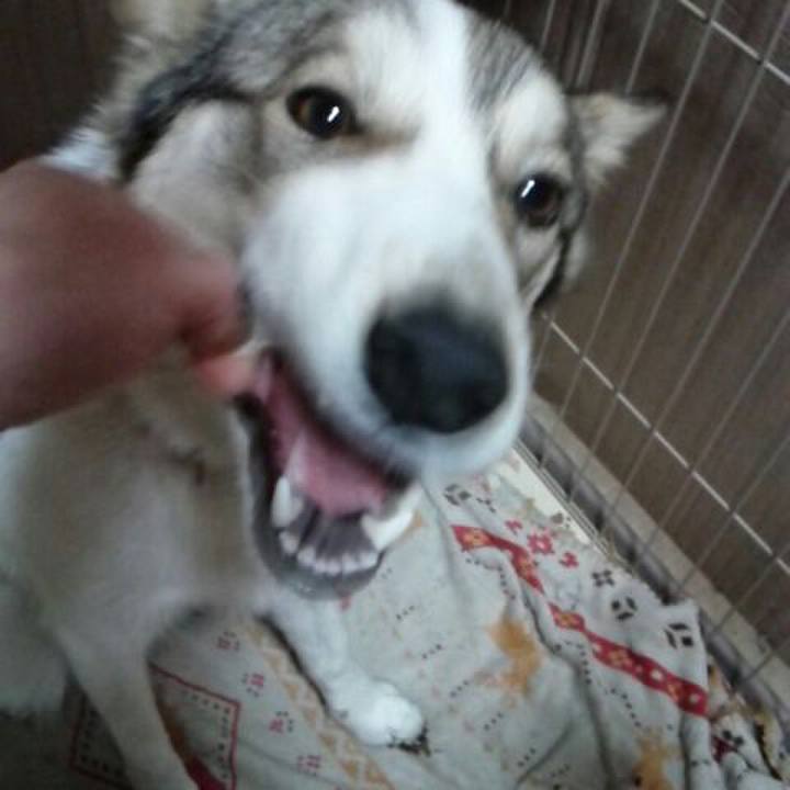 91475693 7d48 4494 8a72 a164cbc2a1b9