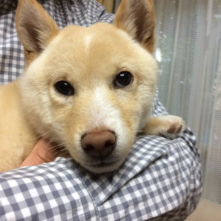 9147c9d6 525f 49e4 b665 0299ca730956