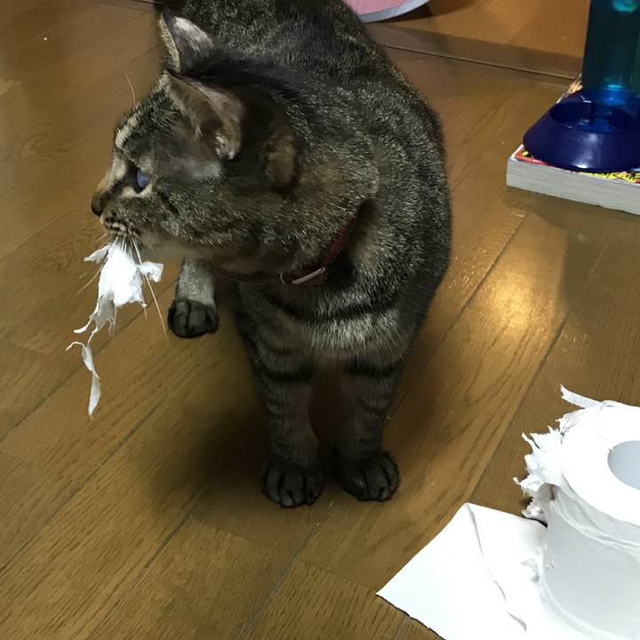 914839e9 0d27 494d 931e e37253b72157