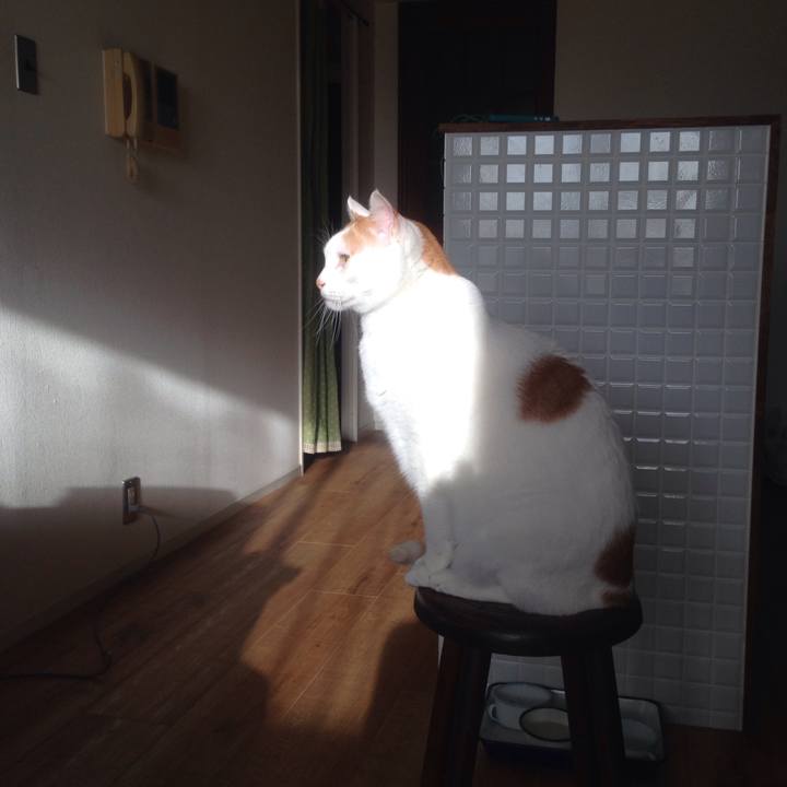 91494feb e451 4ae9 81b7 d8ab0d57052f