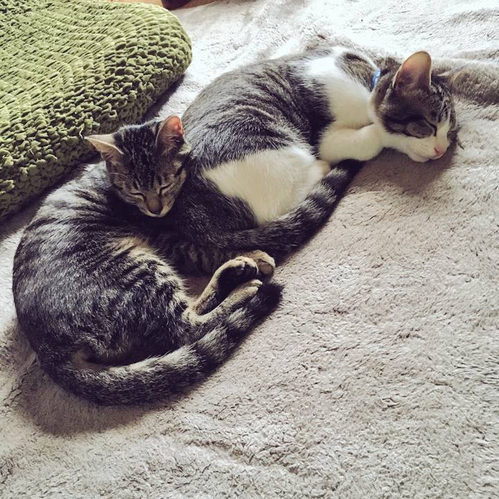 9149b6b0 30c0 40a2 90b6 53123bdfa564