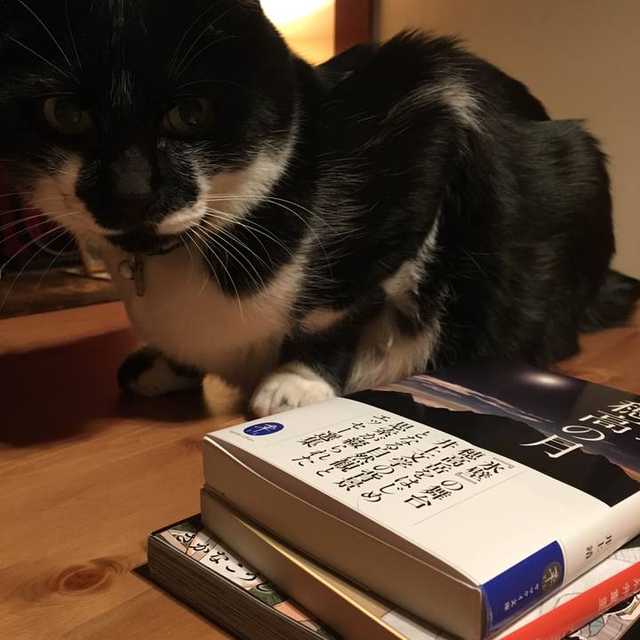 914a091d a560 4c08 8f0a 017ef60bb08d