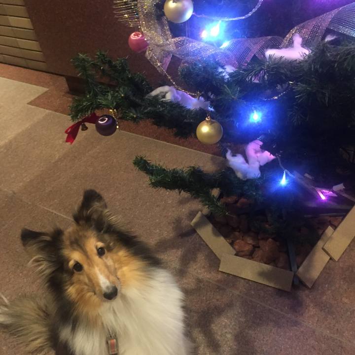 914a22be 4ade 4f01 9c7f 6d93b5580c70