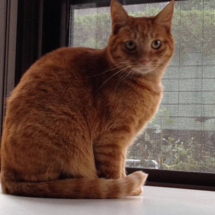 914a759a 7bd9 4df0 b0ee af18bf2f20eb