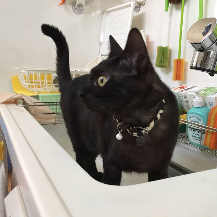 914ac495 f173 4adb 9923 3e92d047761c