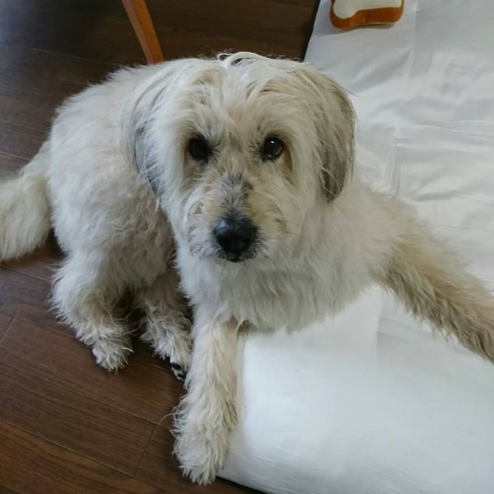 914b0fd6 b904 4042 a3c6 1f80b7d7cfa7