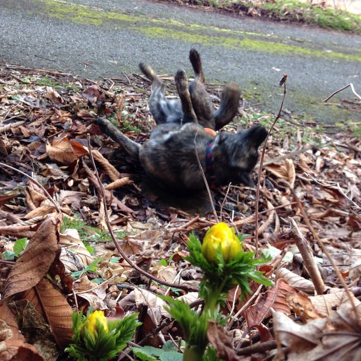 914b3306 ce78 40b7 90f6 f50dfc2b212e