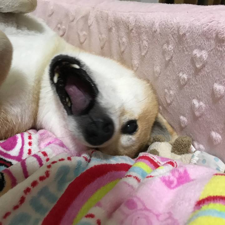 914bb026 7e12 40f7 b88b f0e4e2e5402f