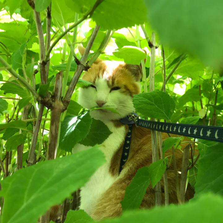 914be9b9 03ef 4a94 82b8 c30f0f3a6718