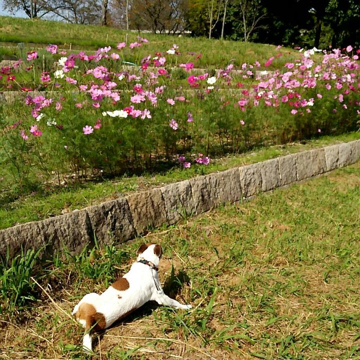 914c7aad 7b63 4ed9 a284 faeaf9002be8