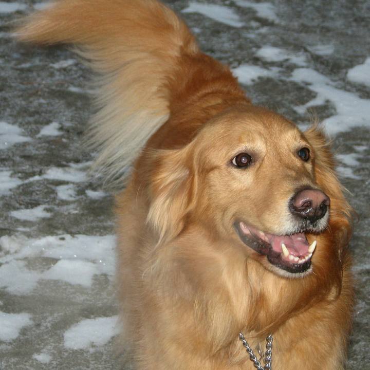 914c8c4a abe2 4485 af6f 3e4f0e14950b