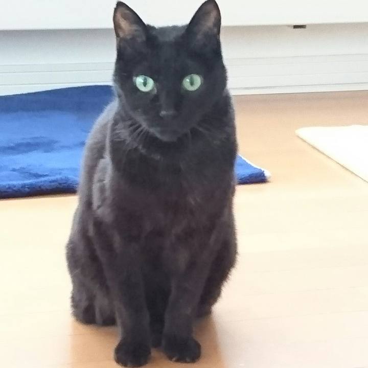 914ca656 4d1e 4af6 acc0 09ac81351710