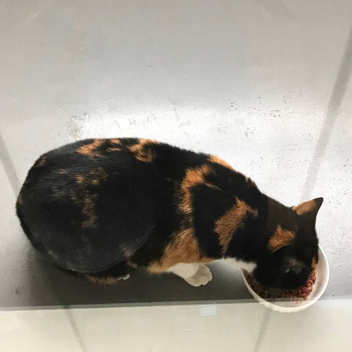 914d1a67 3785 4724 8c1a 8d45ee081578