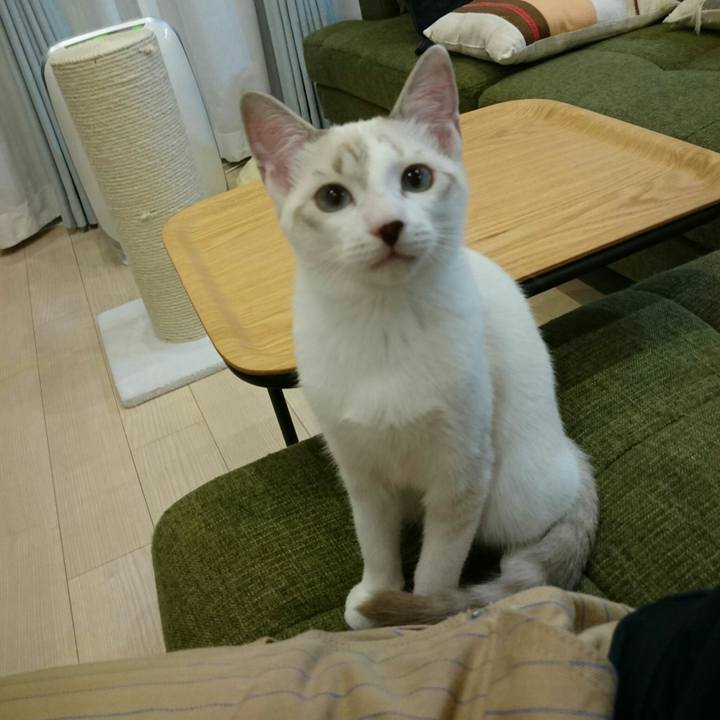 914d8af0 147c 40d7 bf21 5beee3e143ef