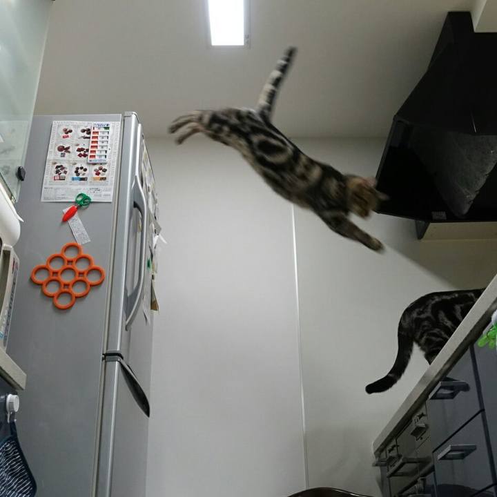 914e019f 94bd 4f49 b973 7a36b9ab8155