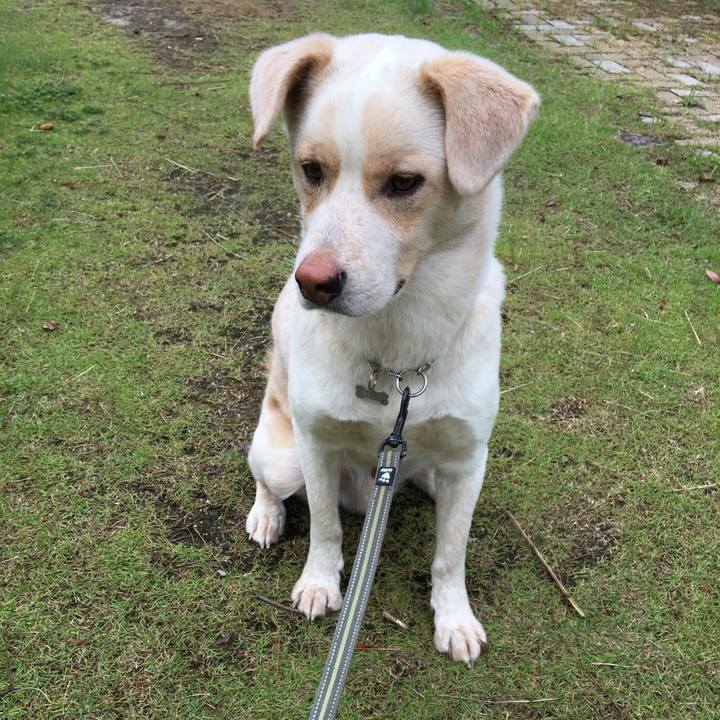 914ea3ce c726 4e75 9c4e 507d09b083da