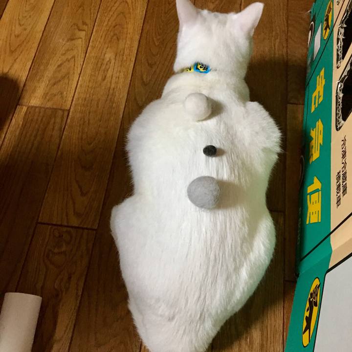 914ec00b 3d45 4d9f 9cca 94296ba22aa9