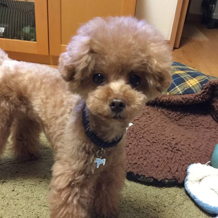 914f03b7 68a2 4263 a4de f337ad5bbc9d