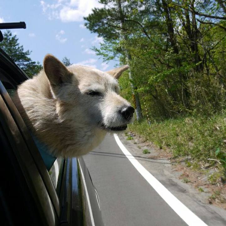 914f51b3 374e 4c3f 86a6 8c137b9d4287