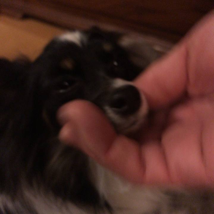 914f7dbe f904 47e1 a2ad f59274b00c42