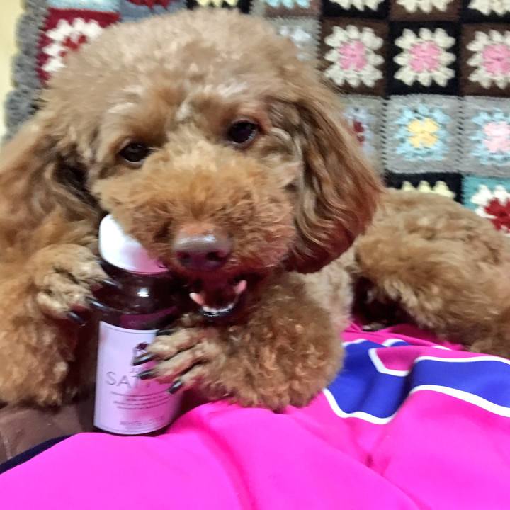 914fadae b77b 4817 bbcd 072f187722aa