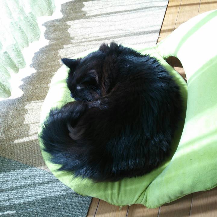 9150024f a461 47a5 bce4 b2d041c92268