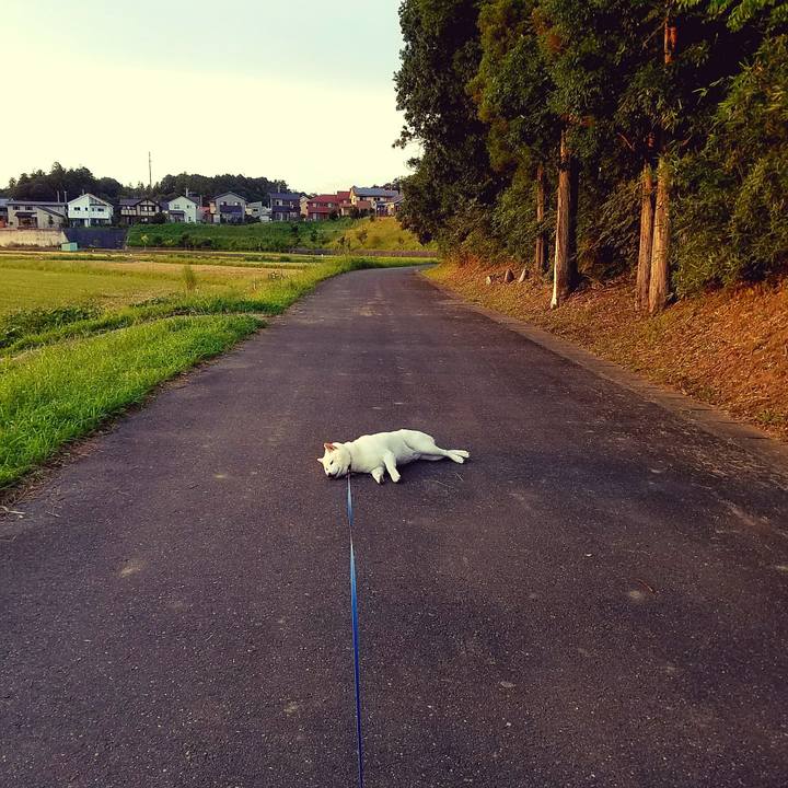 9150032c d24c 4fbb bfb0 ece6ea9c6446