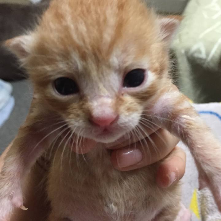 91501d89 1977 4aaa 913e 24f0aef6bbe5