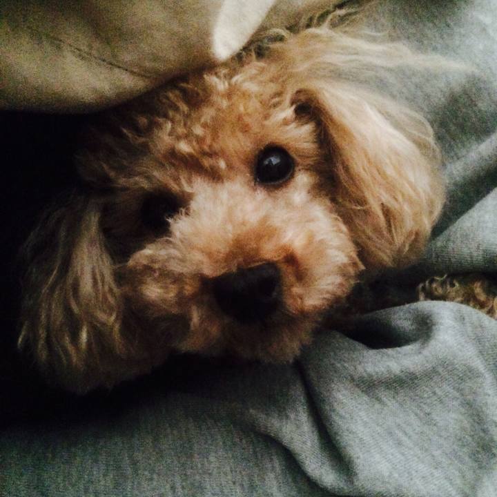 91506e06 e799 4c68 bcd9 1b7df17f7247