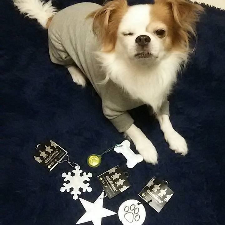 915072f6 411d 45bc 8f9f 09d88bb74502