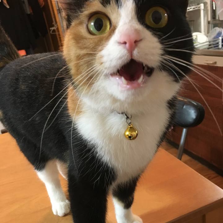 9150a817 2105 4d08 8d21 1a3c3926dc8a