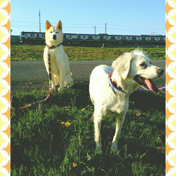 9150d6d5 9a5f 4994 ad82 15a1e4a2ec2b