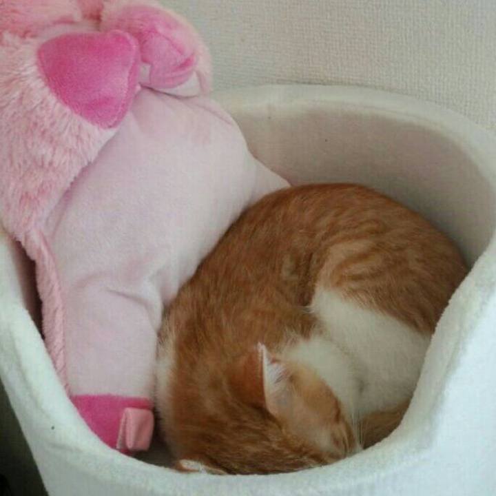 91512dc2 5904 47f1 b1a8 359998d3448f