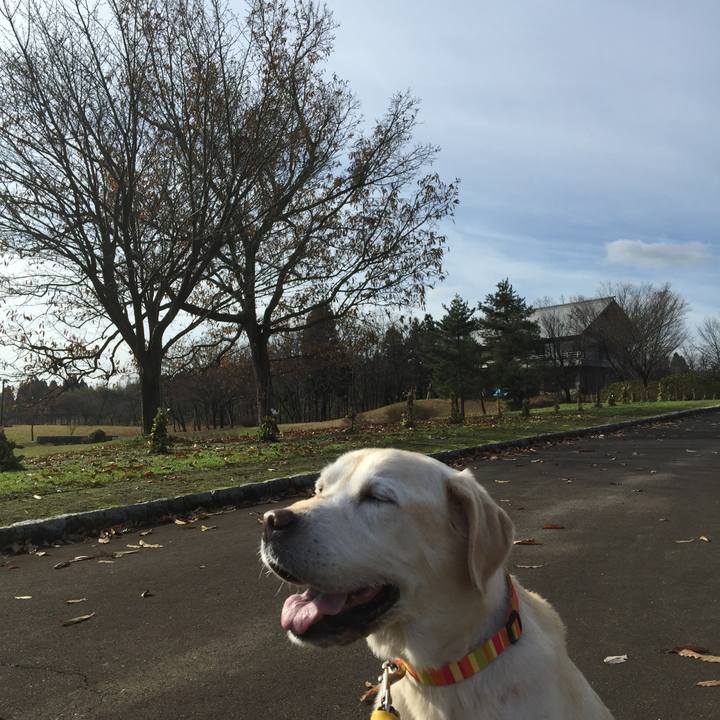 9152ca80 8884 45f2 8898 295b2b623539