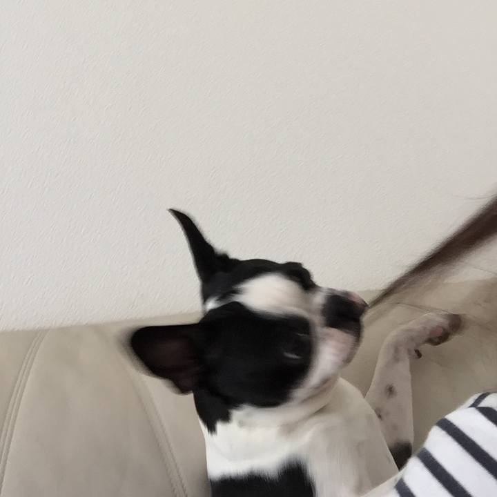 915320fa ee87 459c ac07 34c9f5e2b9b0