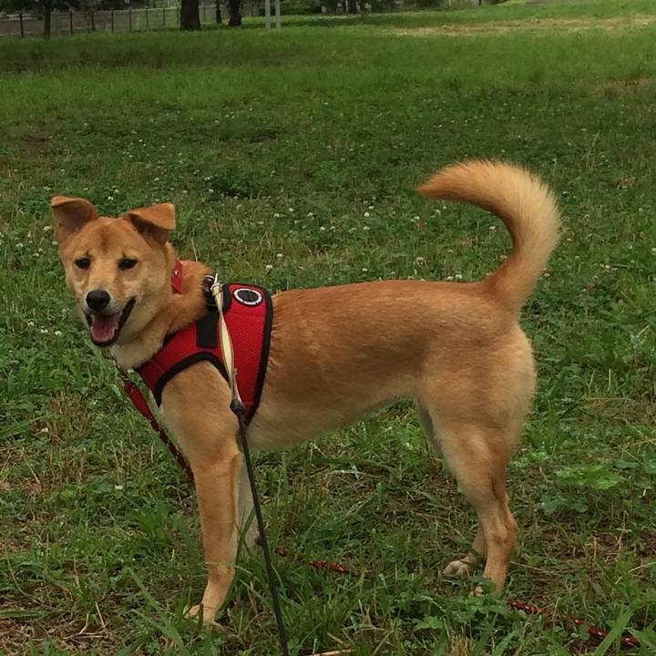 91532232 4a56 4abc a596 8699671002e9