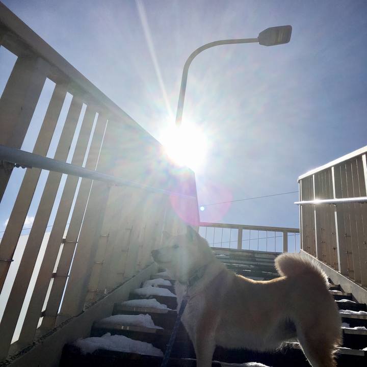 9153acc4 ea39 42ec 8e20 f5618a33befc