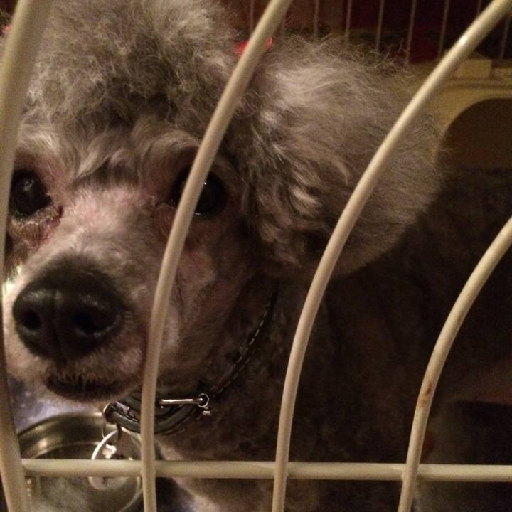 9153affd 77c4 4100 9bf1 f629102b0b03