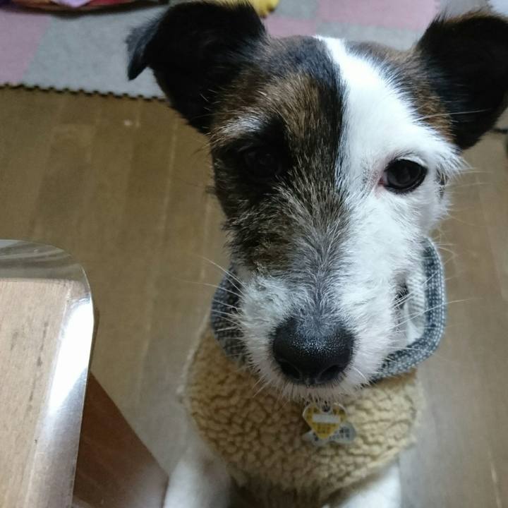 915418ba 4781 4b7a 9da7 ac8e3bd73f08